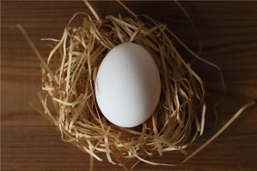 胚盤胞まで育てた受精卵の移植で、さらにすべて凍結してシート法で戻す方法を基本としています【医師監修】