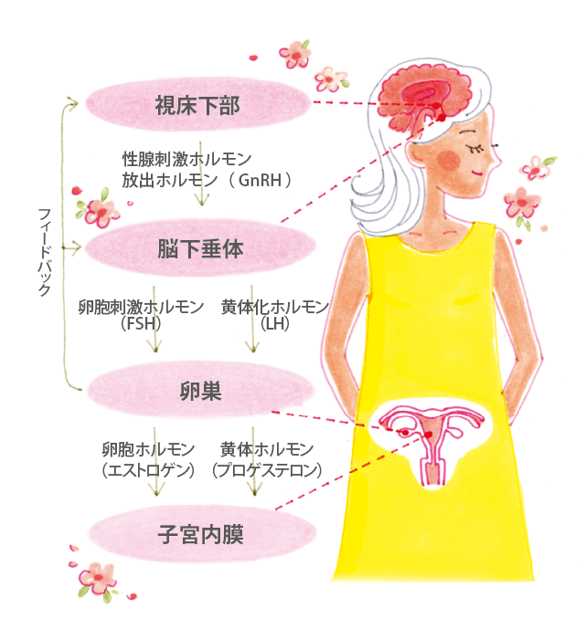 実践 卵管学 中外医学社 | 書籍詳細