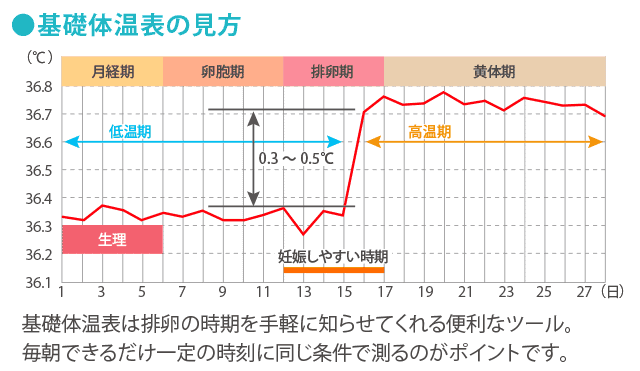 基礎体温を付けてますが ガタガタです 医師監修 ジネコ不妊治療情報