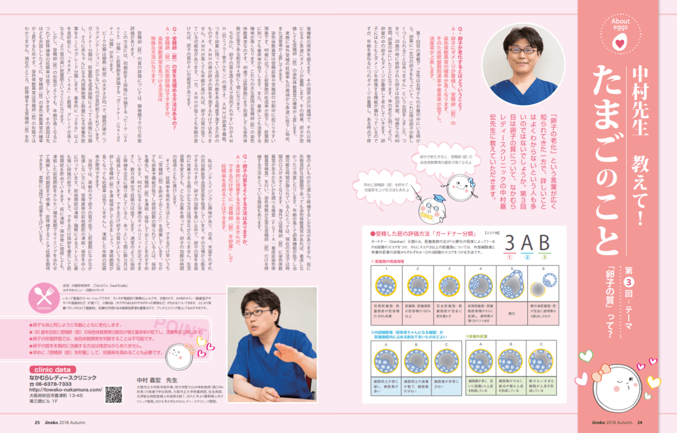 卵子の質」って？│【医師監修】ジネコ不妊治療情報