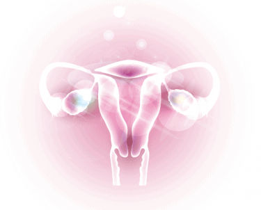 排卵後の子宮内膜について