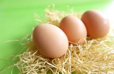 【Q&A】43歳　採卵結果が悪い～福田愛作先生【医師監修】