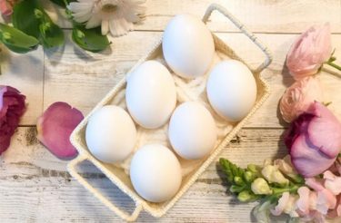 繋留流産再手術について教えてください 医師監修 ジネコ不妊治療情報