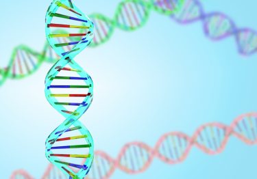 【Q&A】胚移植の胚個数について～田中温先生