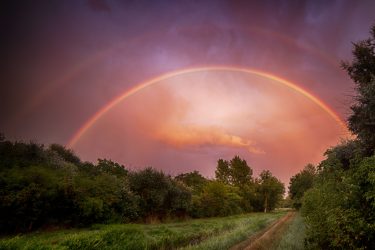 【Q＆A】排卵誘発で卵巣が腫れ、生理が来なくなりました～田中紀子先生