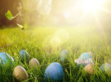 Q A 流産の手術について 小田原先生 医師監修 ジネコ不妊治療情報