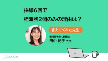 採卵６回で胚盤胞２個のみの理由は？